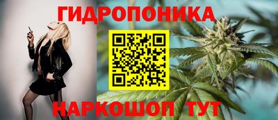 гашик Ливны