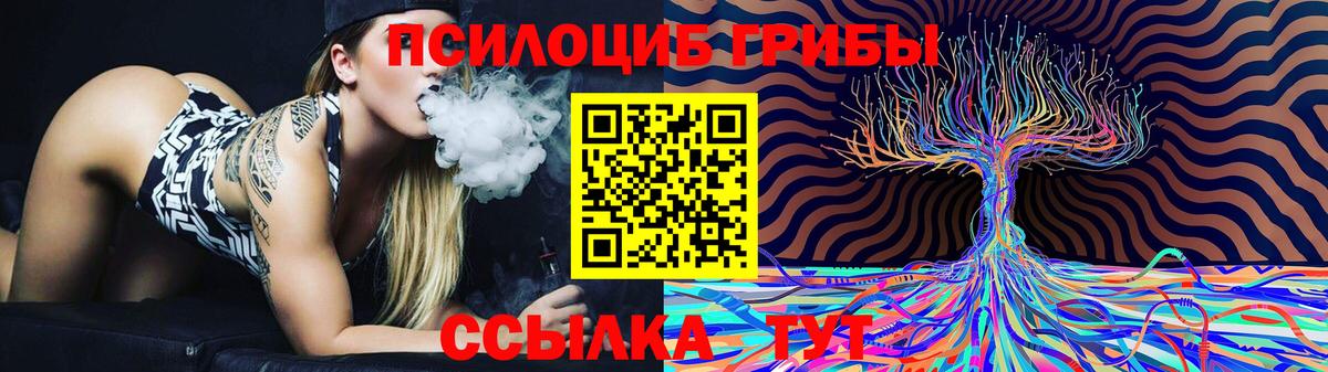 Жуковский  Галлюциногенные грибы мухоморы  Вход с VPN 